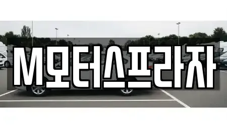 경남 창원시 성산구 신촌동 중고차 전문 M모터스프라자