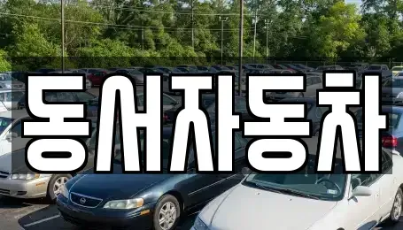 경남 창원시 진해구 여좌동 중고차 전문 동서자동차