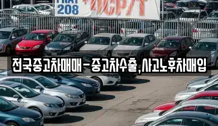 경남 창원시 진해구 여좌동 중고차 전문 전국중고차매매-중고차수출,사고노후차매입