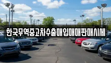 경남 창원시 진해구 자은동 중고차매매,단기렌트카,중고차매입,장기렌트카,중고차,렌트카