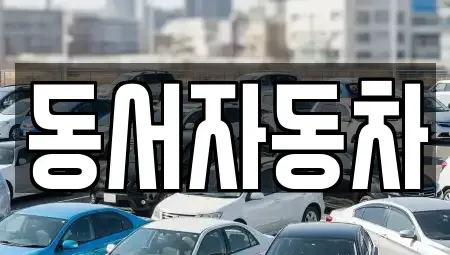 경북 경주시 남산동 중고차 전문 동서자동차