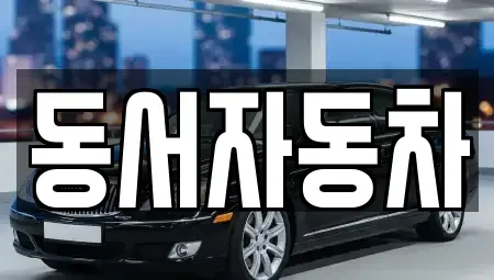 경북 경주시 신평동 중고차 전문 동서자동차