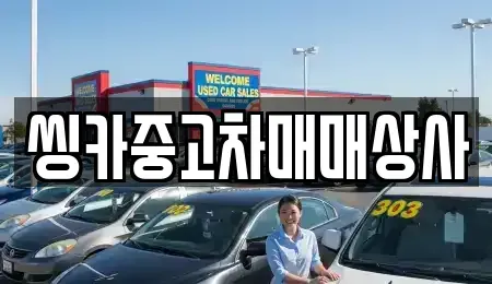 경북 경주시 율동 중고차,렌트카,중고차매입,중고차매매,장기렌트카,단기렌트카