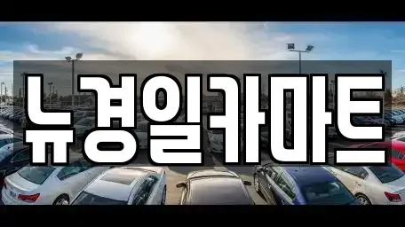 경북 김천시 대광동 중고차 전문 뉴경일카마트