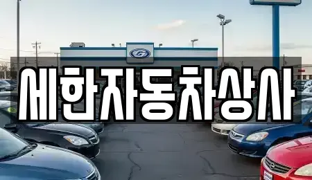 경북 김천시 대광동 중고차 전문 세한자동차상사
