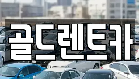 경북 문경시 윤직동 렌트카 전문 골드렌트카