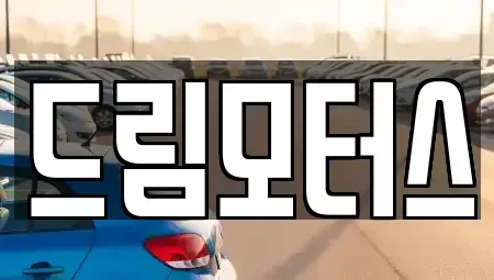 경북 문경시 윤직동 중고차 전문 드림모터스