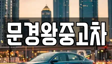 경북 문경시 윤직동 중고차매매 전문 문경왕중고차