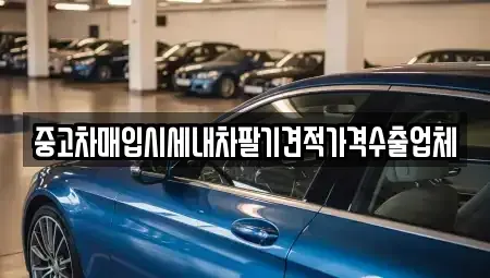 경북 문경시 윤직동 중고차매입 전문 중고차매입시세내차팔기견적가격수출업체