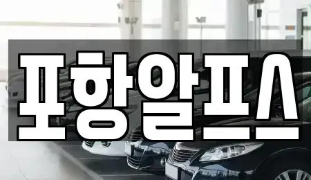 경북 상주시 복룡동 렌트카 전문 포항알프스