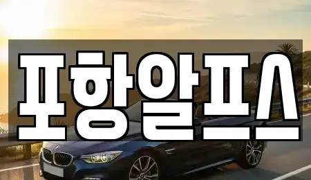 경북 상주시 화산동 렌트카 전문 포항알프스