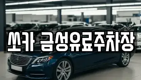 경북 안동시 상아동 렌트카 전문 쏘카 금성유료주차장