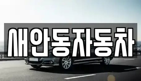 경북 안동시 서후면 중고차매매 전문 새안동자동차