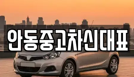 경북 안동시 서후면 중고차매매 전문 안동중고차신대표