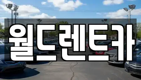 경북 안동시 안흥동 렌트카 전문 월드렌트카