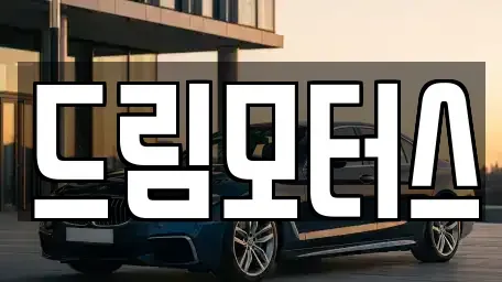 경북 영주시 상망동 중고차매매 전문 드림모터스
