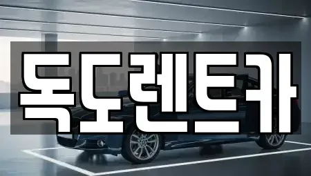 경북 울릉군 서면 렌트카 전문 독도렌트카