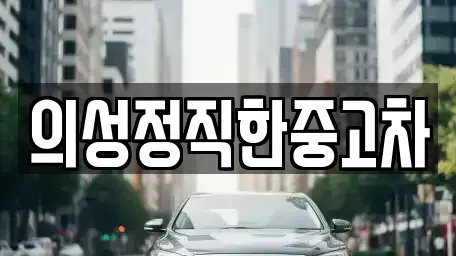 경북 의성군 중고차 전문 의성정직한중고차