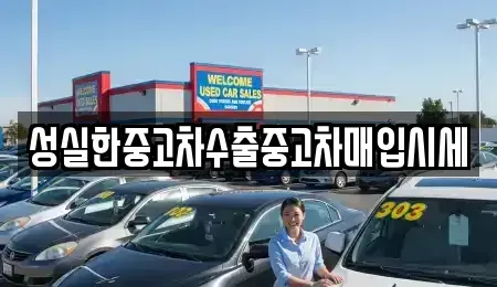 경북 의성군 중고차매입 전문 성실한중고차수출중고차매입시세