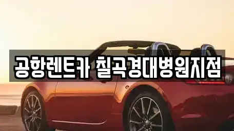 경북 칠곡군 동명면 렌트카 전문 공항렌트카 칠곡경대병원지점