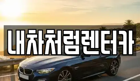 경북 칠곡군 동명면 렌트카 전문 내차처럼렌터카