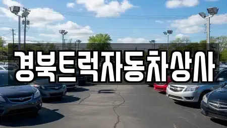 경북 칠곡군 동명면 중고차매매,단기렌트카,중고차매입,장기렌트카,중고차,렌트카