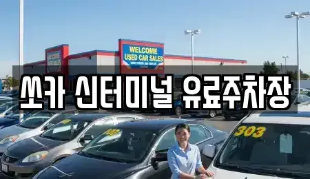 경북 포항시 남구 상도동 렌트카 전문 쏘카 신터미널 유료주차장