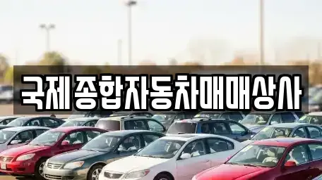 경북 포항시 남구 상도동 중고차매매 전문 국제종합자동차매매상사