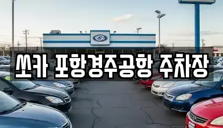 경북 포항시 남구 일월동 렌트카 전문 쏘카 포항경주공항 주차장