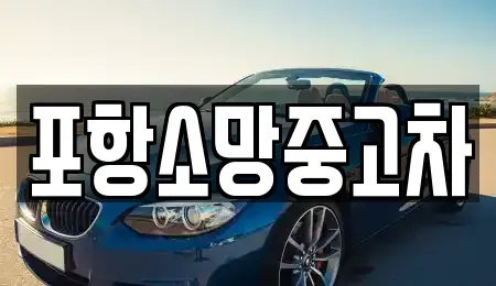 경북 포항시 북구 장성동 중고차매매 전문 포항소망중고차