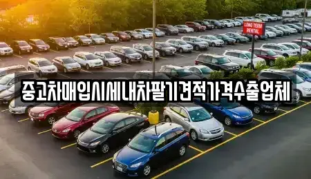 경북 포항시 북구 장성동 중고차매입 전문 중고차매입시세내차팔기견적가격수출업체