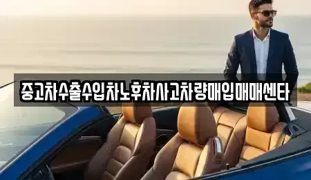 경북 포항시 북구 장성동 중고차매입 전문 중고차수출수입차노후차사고차량매입매매센타