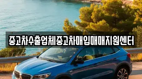 경북 포항시 북구 장성동 단기렌트카,중고차매입,중고차매매,중고차,렌트카,장기렌트카