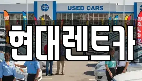 경북 포항시 북구 중앙동 렌트카 전문 현대렌트카