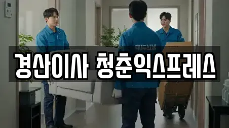 경산이사 청춘익스프레스