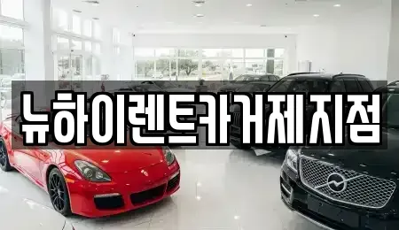 경상남도 거제시 옥포동 렌트카 전문 뉴하이렌트카거제지점