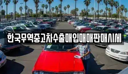 경상남도 거제시 옥포동 중고차 전문 한국무역중고차수출매입매매판매시세