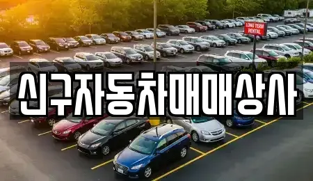경상남도 고성군 하이면 중고차 전문 신구자동차매매상사