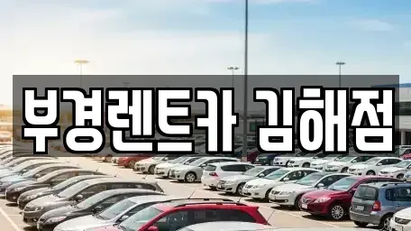 경상남도 김해시 대성동 렌트카 전문 부경렌트카 김해점