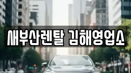 경상남도 김해시 대성동 렌트카 전문 새부산렌탈 김해영업소