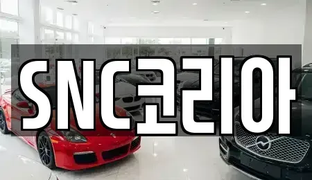 경상남도 김해시 대성동 장기렌트카 전문 SNC코리아
