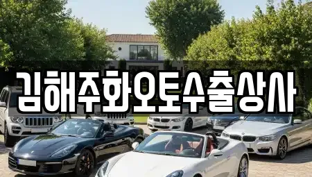 경상남도 김해시 대성동 중고차 전문 김해주화오토수출상사