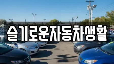 경상남도 김해시 대성동 중고차 전문 슬기로운자동차생활