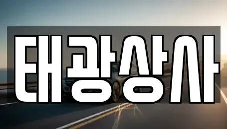 경상남도 김해시 대성동 중고차 전문 태광상사