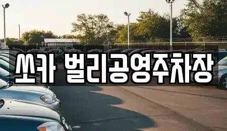 경상남도 사천시 동림동 렌트카 전문 쏘카 벌리공영주차장