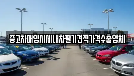 경상남도 사천시 동림동 중고차매입 전문 중고차매입시세내차팔기견적가격수출업체