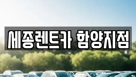 경상남도 산청군 렌트카 전문 세종렌트카 함양지점