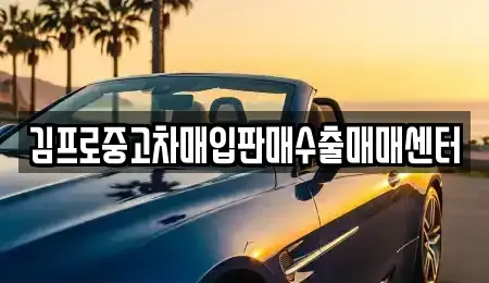 경상남도 산청군 중고차매입 전문 김프로중고차매입판매수출매매센터