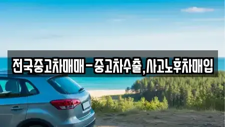 경상남도 양산시 남부동 중고차매입 전문 전국중고차매매-중고차수출,사고노후차매입