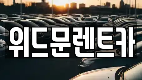 경상남도 양산시 하북면 렌트카 전문 위드문렌트카